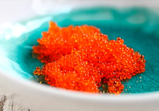 Тобико — икра летучей рыбы: польза, вкус и оригинальность
